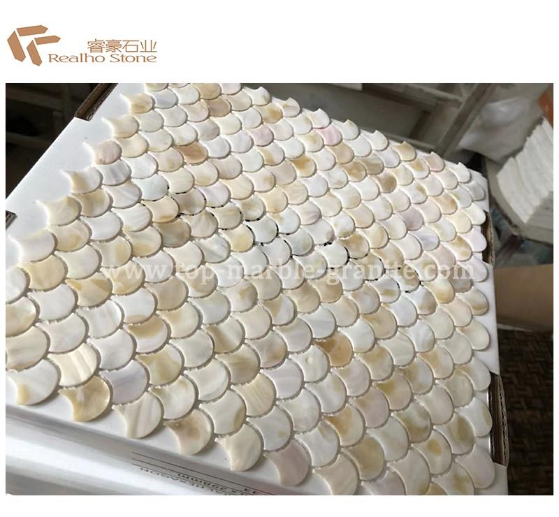 Fan Shell Mosaic Wall Tiles