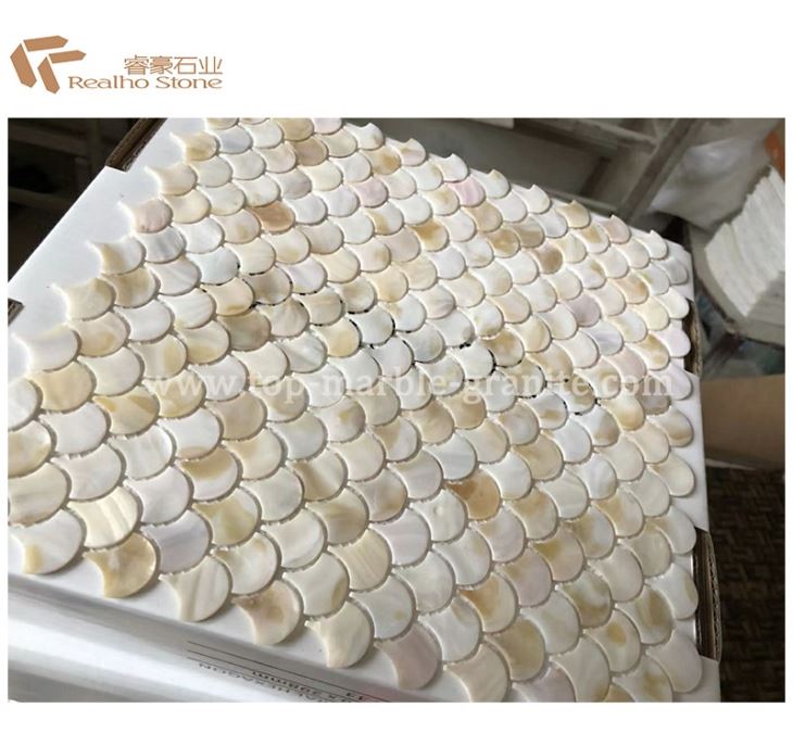 Fan Shell Mosaic Wall Tiles